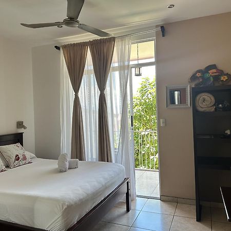 Casa De Lis Hotel & Tourist Info Centre 투리알바 외부 사진